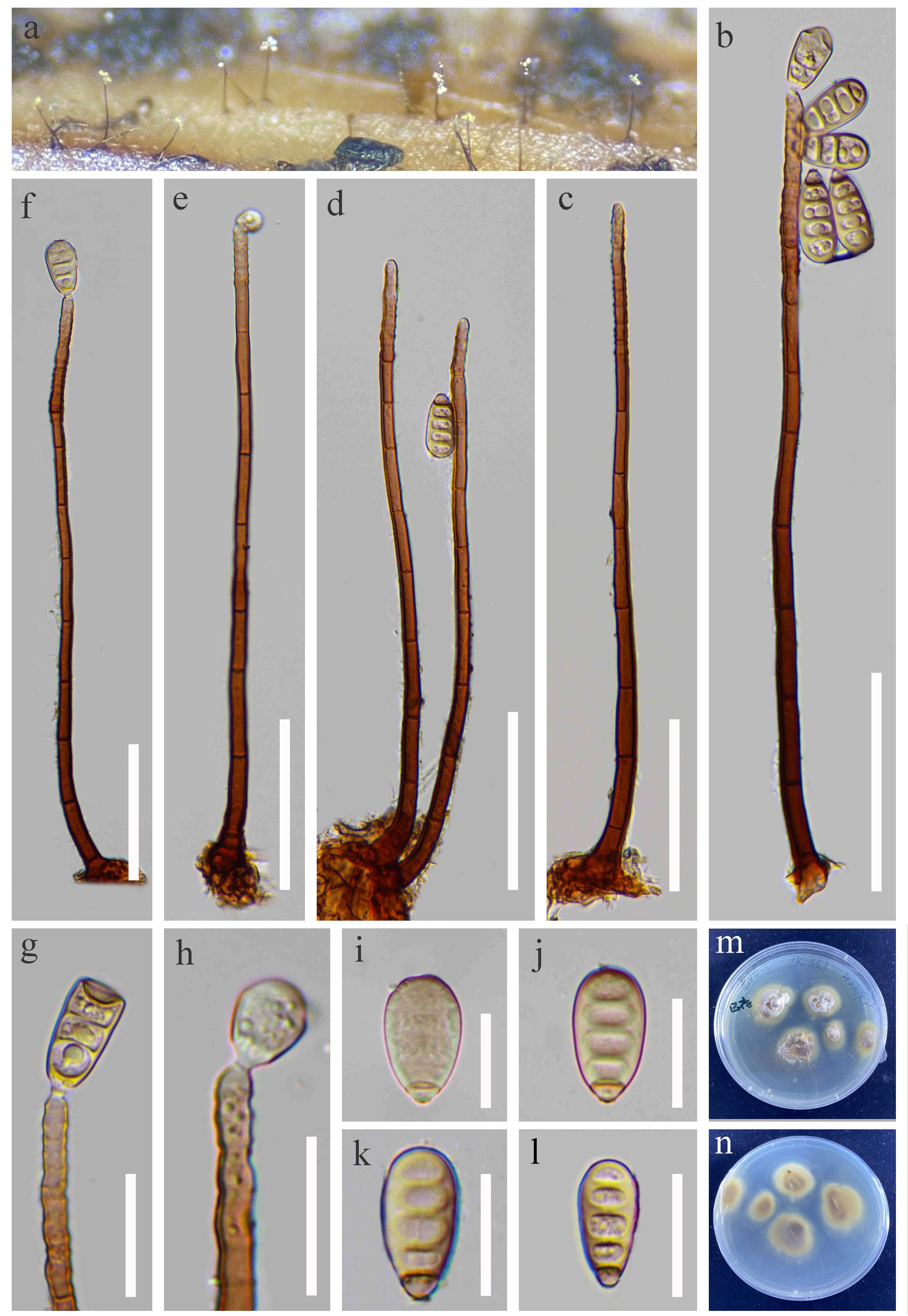 Figure 112